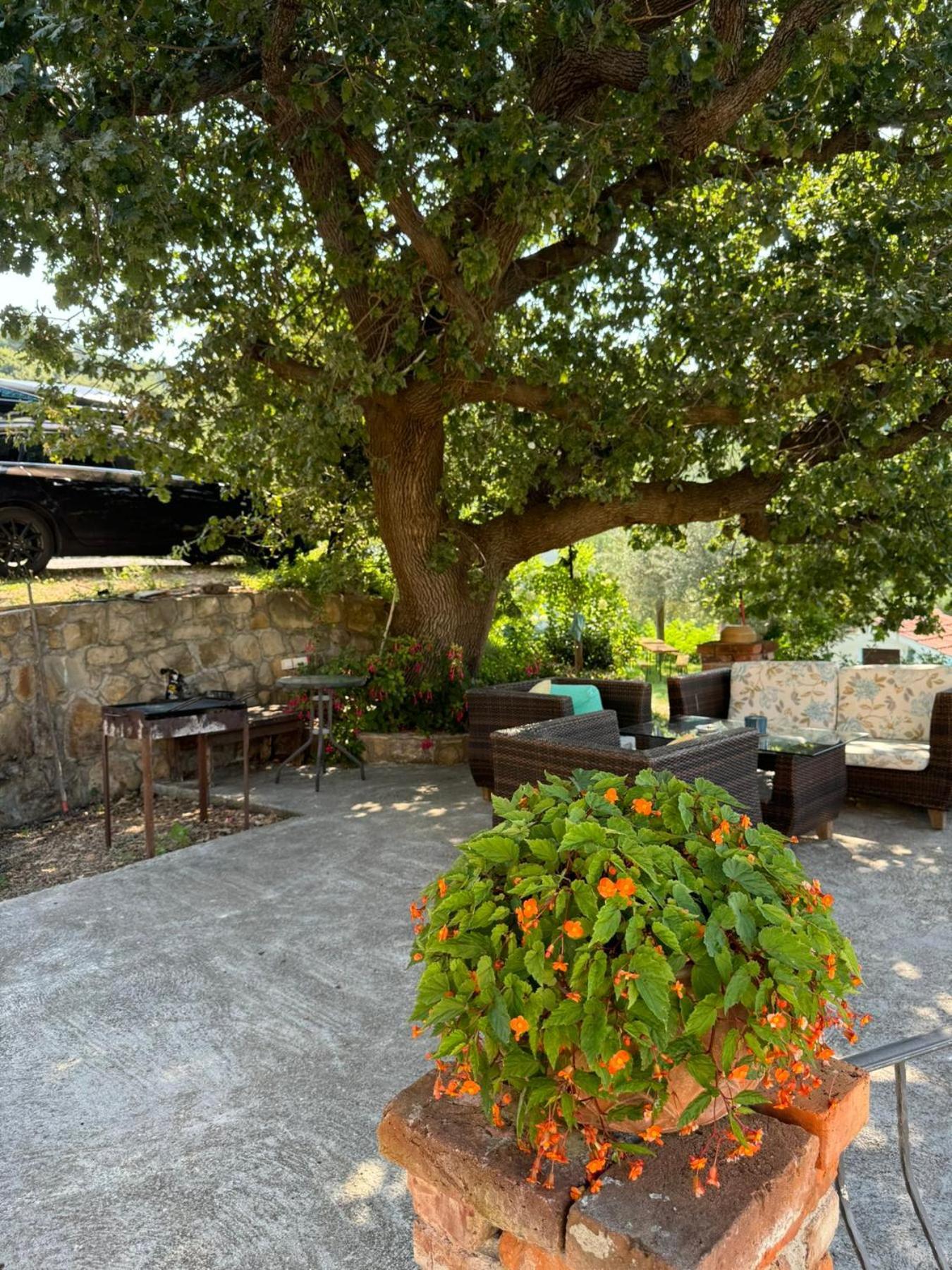 Apartments Dumicic Supetarska Draga Exteriér fotografie